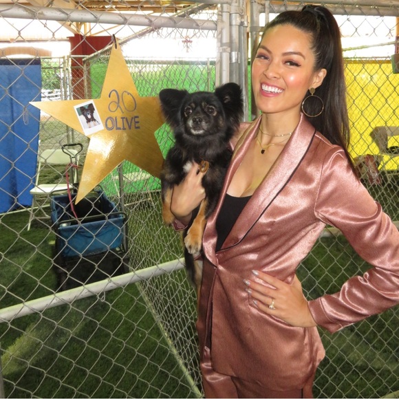 ASOS Little Mistress Satin Blazer Cigarette Pants Contrast Black Piping Copper - Picture 5 of 16